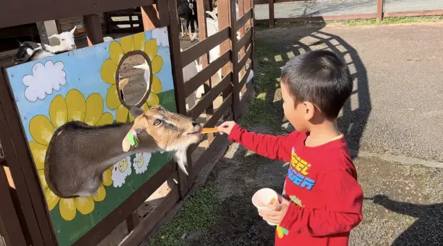 11種類の動物とのふれあう時間も楽しみ