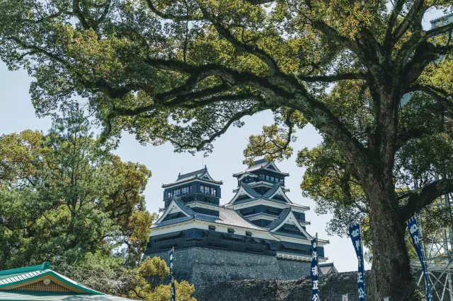 「熊本城」の近望の名所としても有名