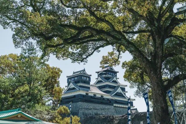 社神腹地内是拍摄熊本城天守阁的绝佳场所