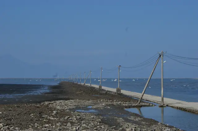 海中の24本の電柱がSNS映えすると話題に
