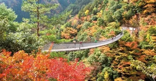 峡谷間を結ぶ吊り橋からの景色はまさに絶景