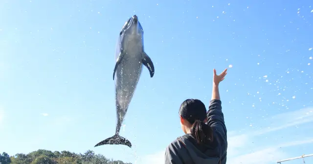 海中水族館シードーナツ
