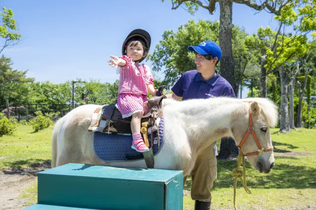 ポニーの乗馬体験は小さい子どもでも楽しめる