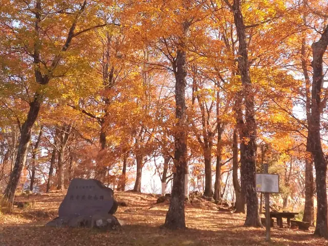 秋は鮮やかな紅葉を楽しめる