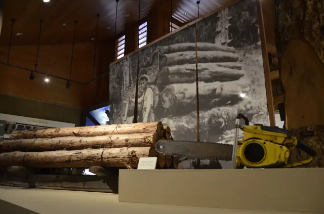 森林や林業について学べる森林学習展示館