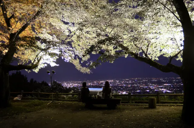みはらし広場からは甲府盆地の夜景も