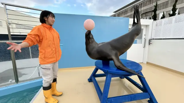 竹島水族館