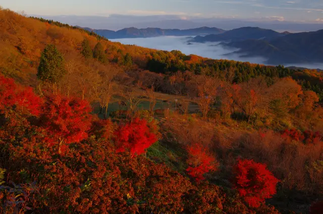 秋の紅葉も必見
