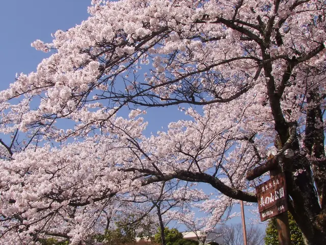 四季折々の景観が楽しめる