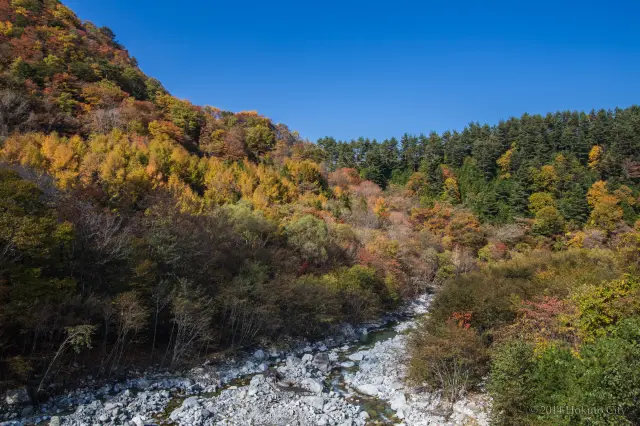 紅葉の時期は格別の美しさ