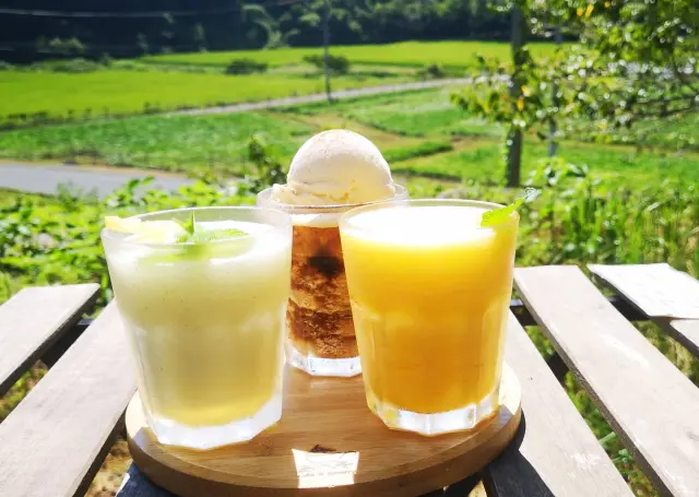 「瀬戸内いよかんと広島蜂蜜のフローズン」をはじめ旬の時期に応じたドリンク類も豊富