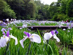 智光山公園