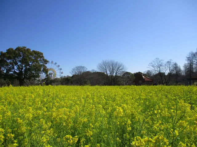 四季折々の華やかな花々と出会える植物園