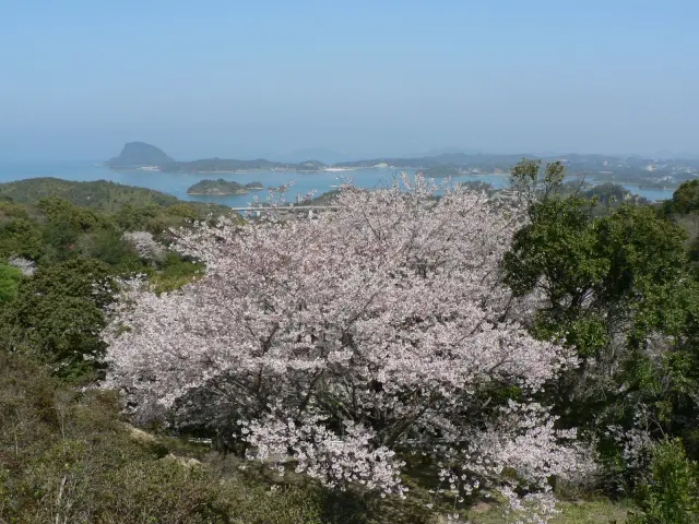 春には山頂の桜が咲き誇り、華やかな雰囲気に