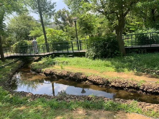小川のせせらぎが気持ち良い