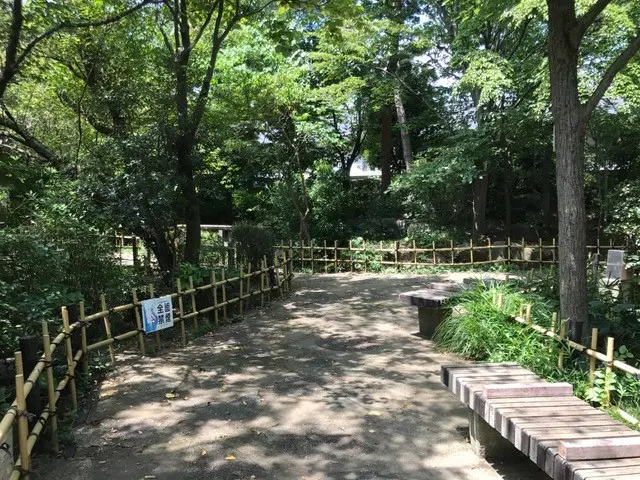ベンチが多く、ちょっとした休憩にも最適