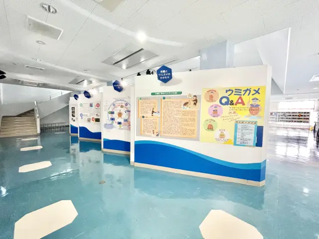 展示區中介紹海龜生態等資訊