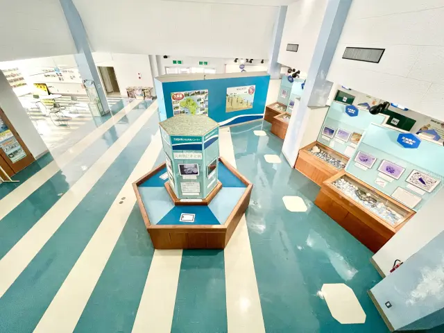 還有介紹久米島貝類的展示區