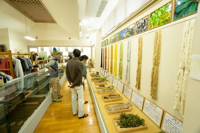 久米島紬之里Yuimaru館