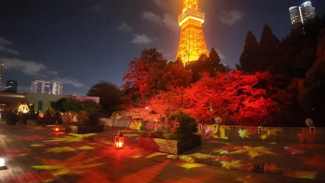 「RED & GOLD」に染まる秋のプロジェクションマッピング