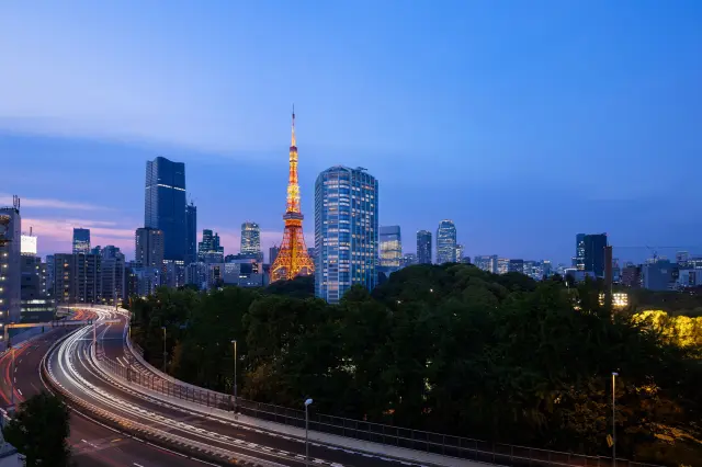 東京タワーのインターナショナルオレンジと輝く夜景が映える