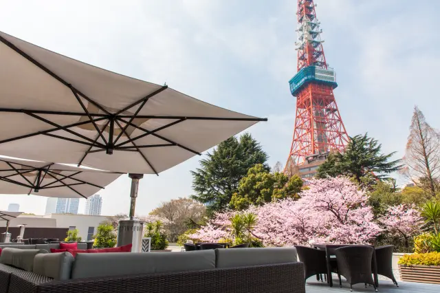 東京タワーを一望できる「カフェ＆バー タワービューテラス」