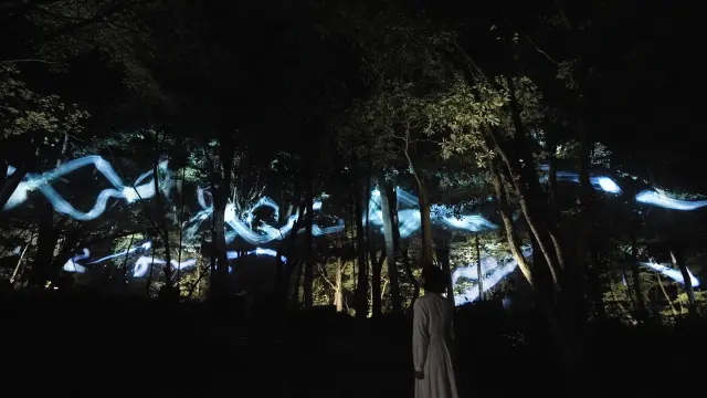 森の闇の中に光の書が広がってゆく
チームラボ《連続する軌跡》 ©チームラボ