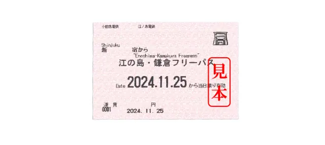 券面に記載された日付のみ有効