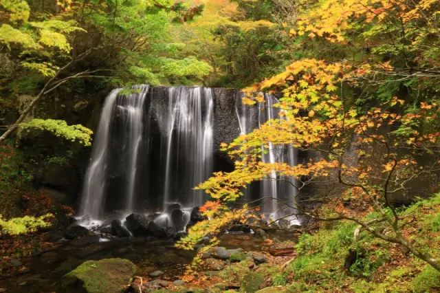 紅葉狩りを目的に全国から観光客が訪れる