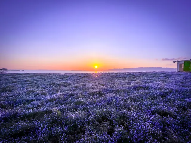 夕日の時間帯に訪れるのもおすすめ