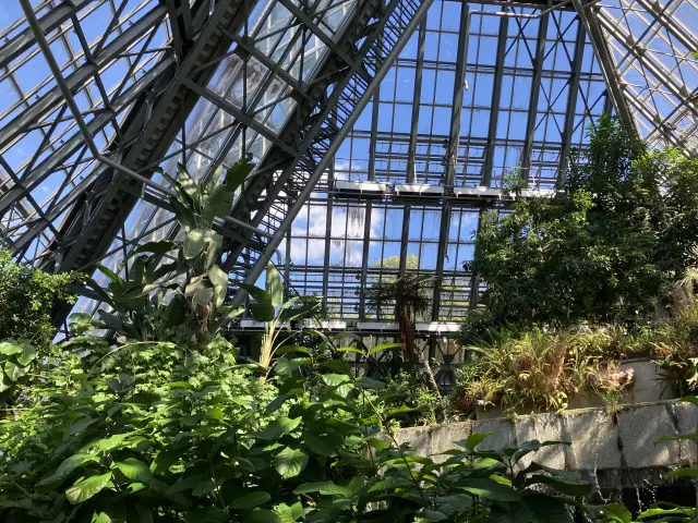 世界の花を植栽する大温室