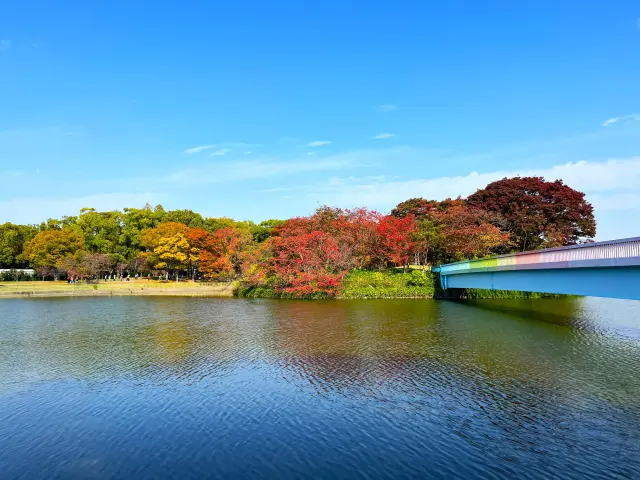 園内には池が配され水景も楽しめる