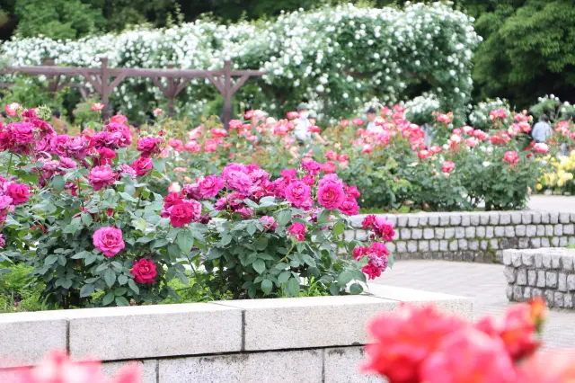 大阪市立長居植物園