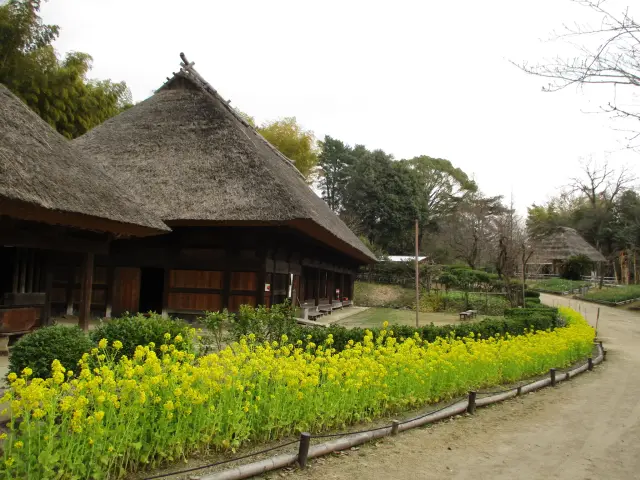 白川村の合掌造りなど古民家が集まる日本民家集落博物館