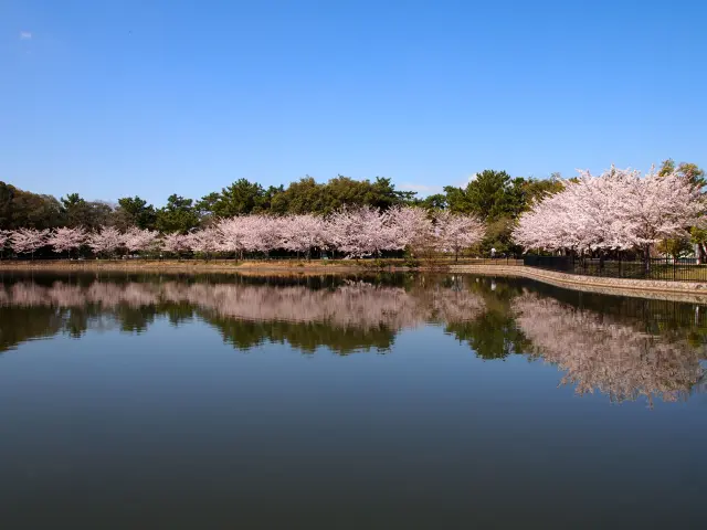 服部緑地