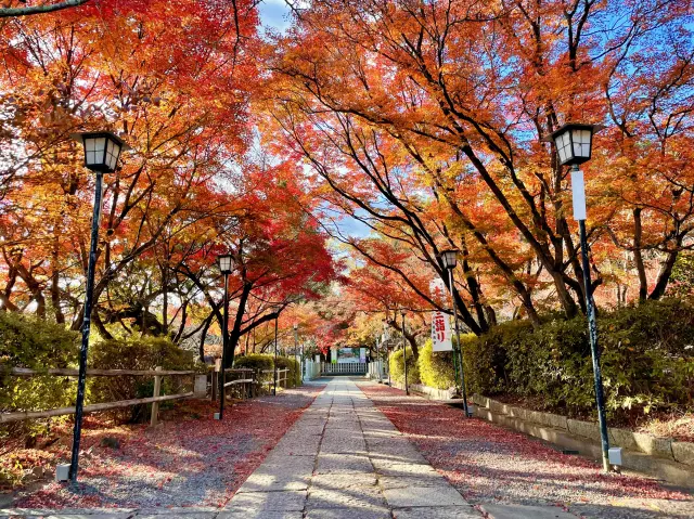 秋には紅葉鑑賞もできる