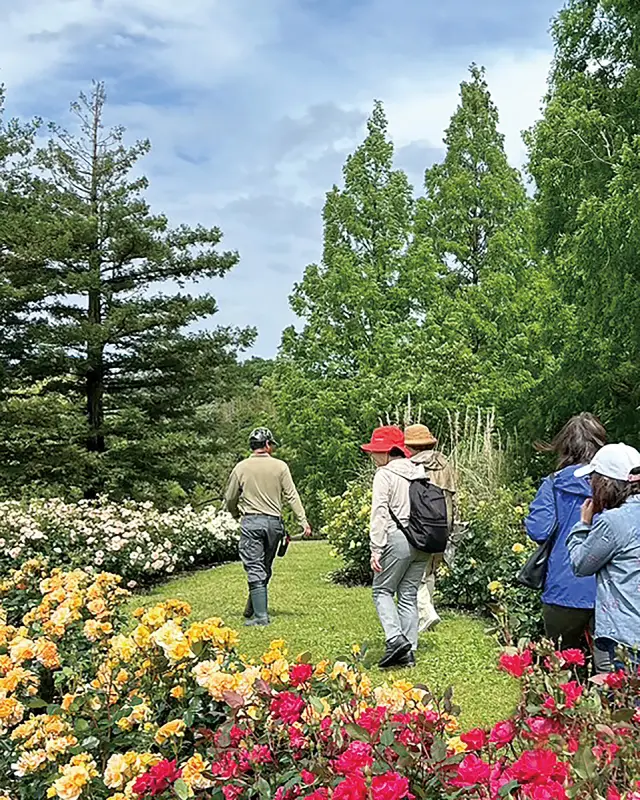 見どころを教えてくれるバラ園ガイドツアー