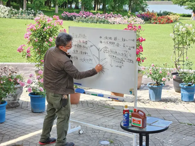 バラの育て方講習会も実施