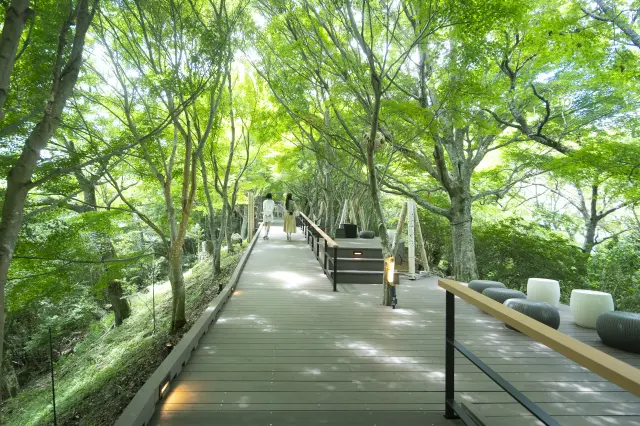 自然を浴びることができる散策路「フォレストウォーク」