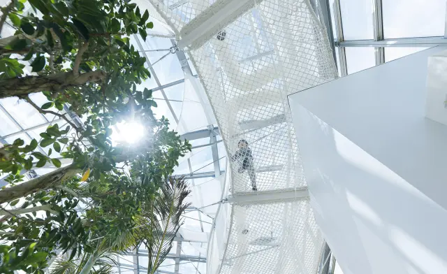 植物を高い位置から眺められる全長100mのネット遊具