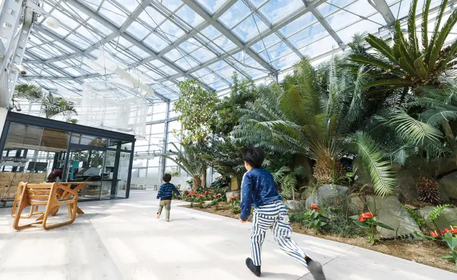 珍しい植物も展示する温室