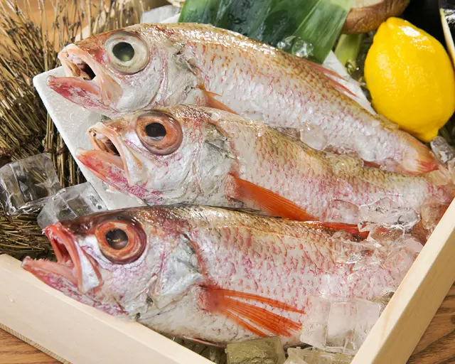 のどぐろは和名「アカムツ」と呼ばれる高級白身魚