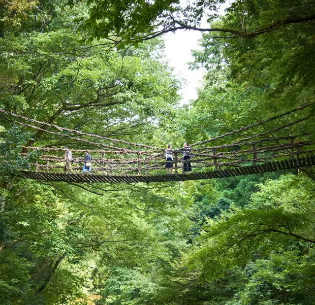 かずら橋（福井県）
