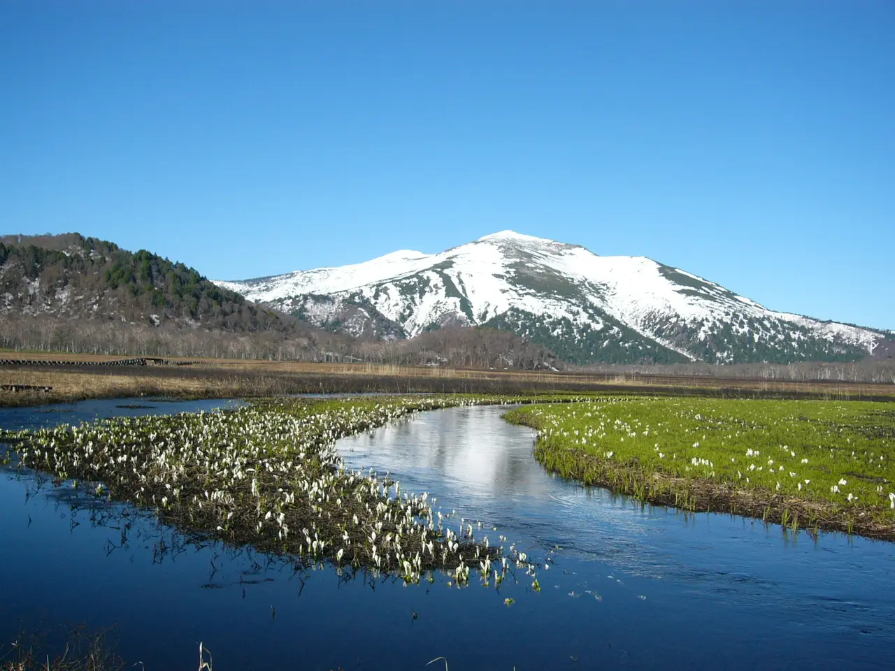 尾瀬国立公園(群馬県側)