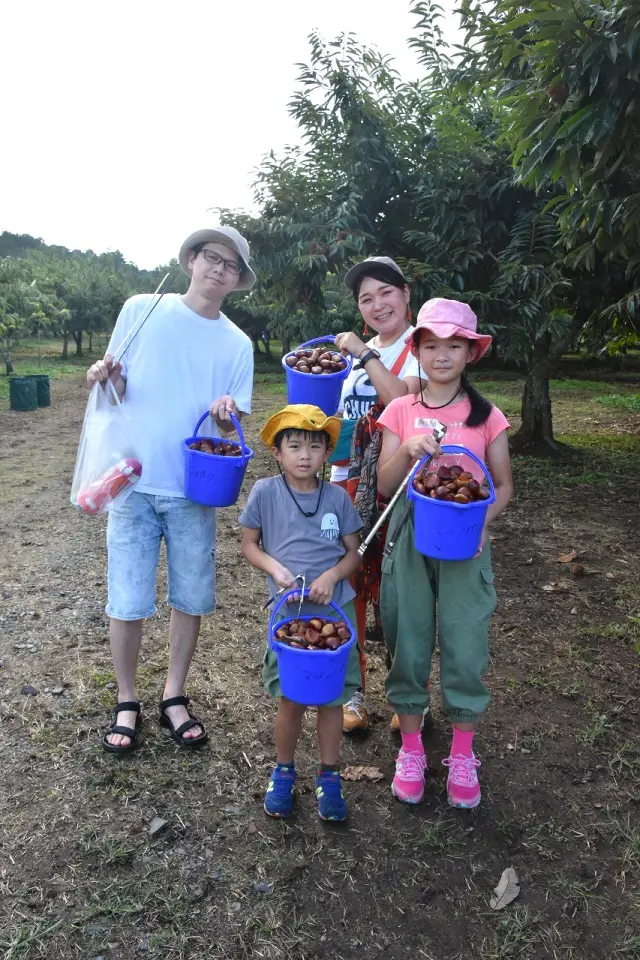 イガから栗を取り出す際はトングを使おう