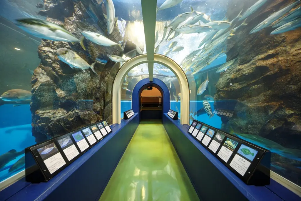 魚津水族館 - 見どころ、アクセス、口コミ & 周辺情報 | GOOD LUCK TRIP