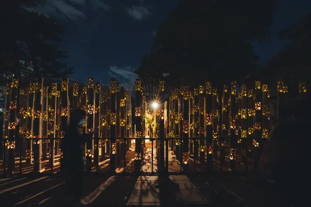 竹に彫られた模様から漏れる灯りが幻想的