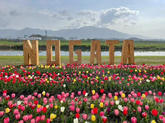 映えるフォトスポットも用意されている