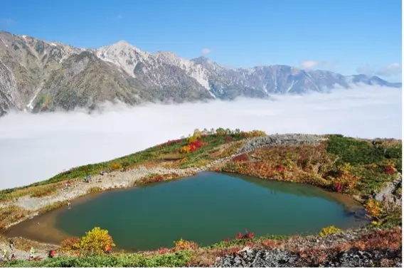 八方池ハイキングコース紅葉