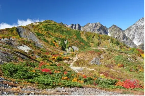 八方池ハイキングコース紅葉